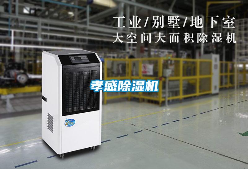 孝感茄子视频懂你更多在线观看