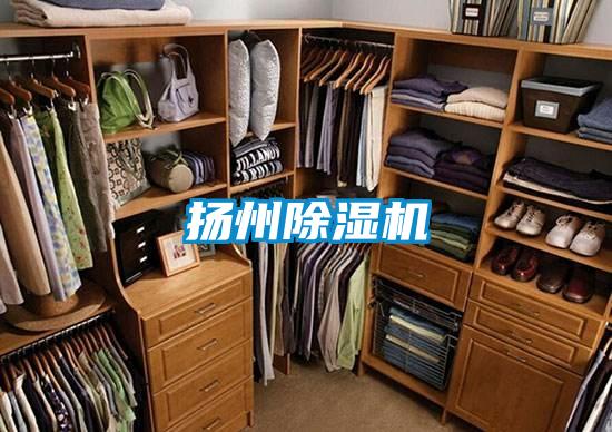 扬州茄子视频懂你更多在线观看