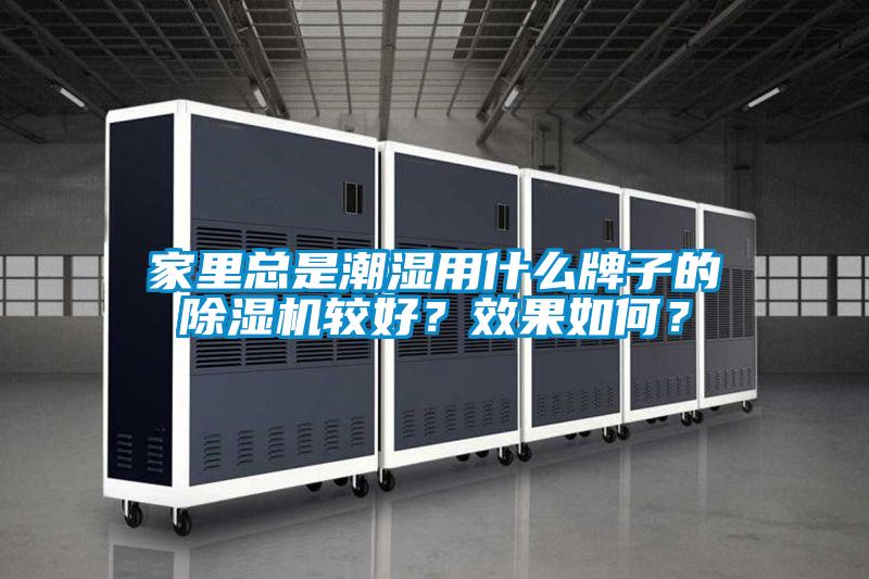 家里总是潮湿用什么牌子的茄子视频懂你更多在线观看较好？效果如何？