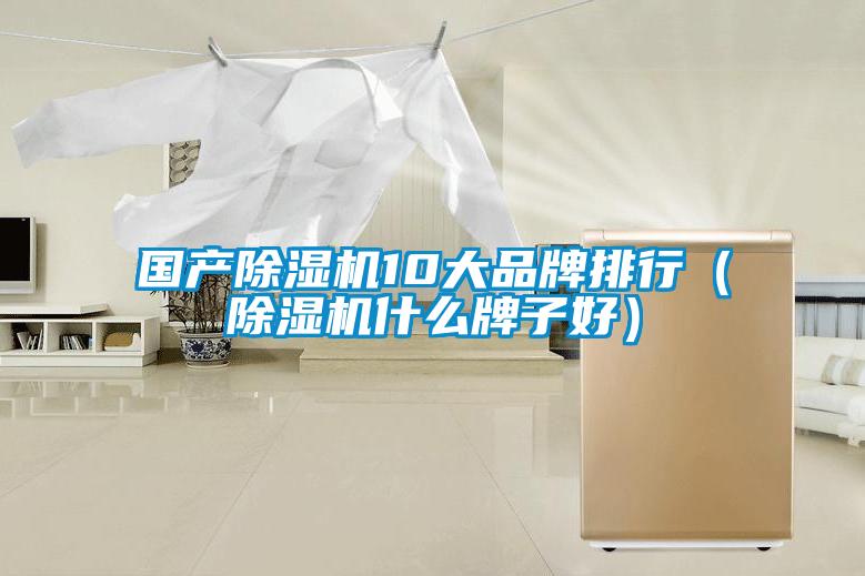 国产茄子视频懂你更多在线观看10大品牌排行（茄子视频懂你更多在线观看什么牌子好）