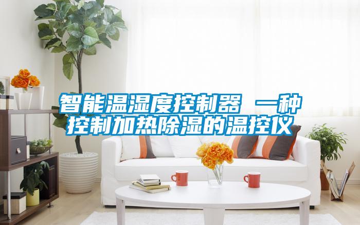 智能温湿度控制器 一种控制加热除湿的温控仪