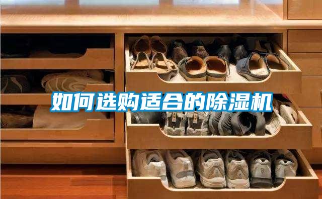 如何选购适合的茄子视频懂你更多在线观看