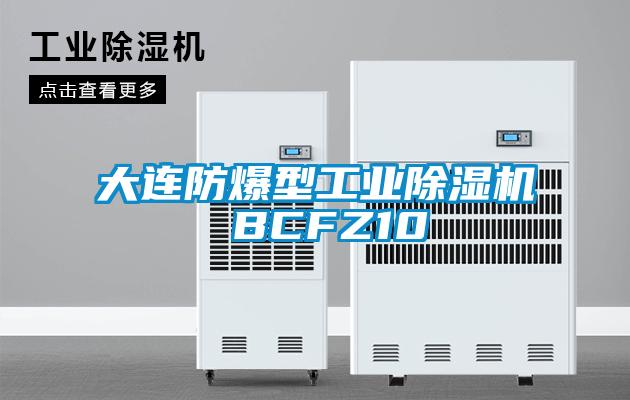 大连防爆型工业茄子视频懂你更多在线观看 BCFZ10