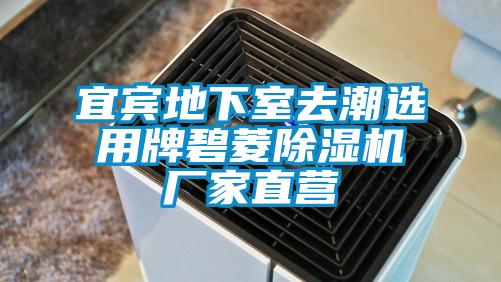 宜宾地下室去潮选用牌碧菱茄子视频懂你更多在线观看厂家直营