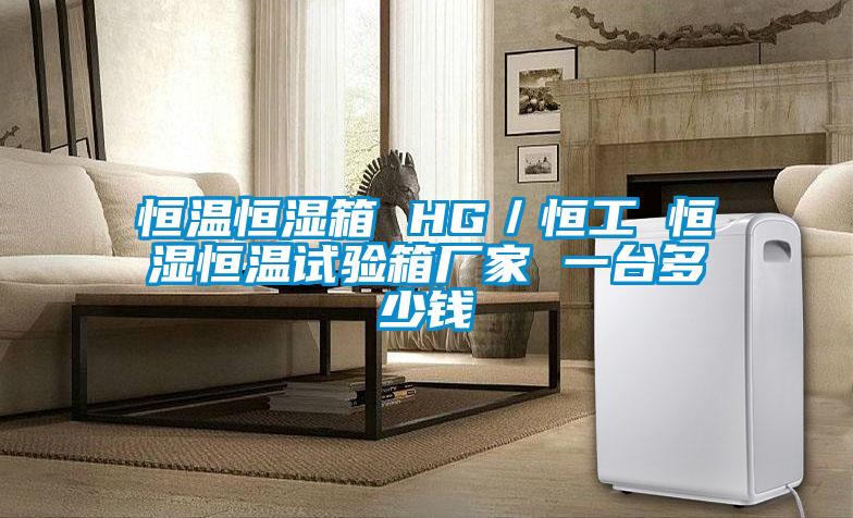 恒温恒湿箱 HG/恒工 恒湿恒温试验箱厂家 一台多少钱