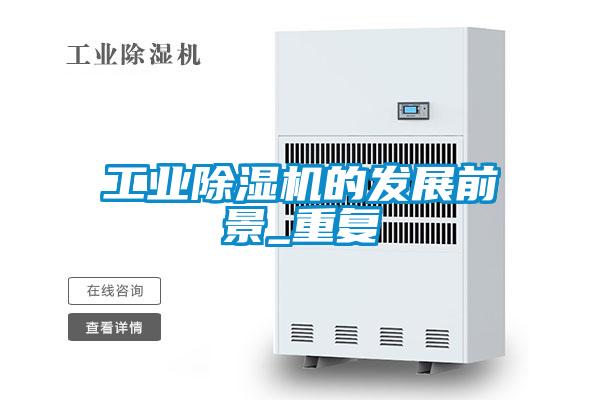 工业茄子视频懂你更多在线观看的发展前景_重复