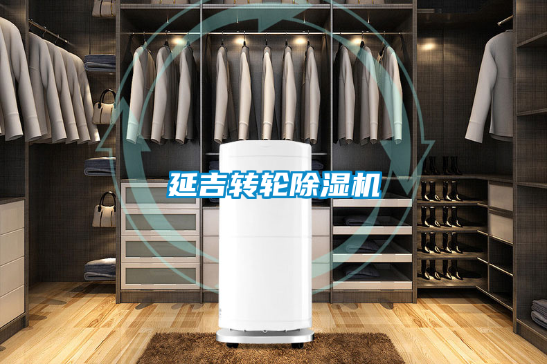 延吉转轮茄子视频懂你更多在线观看