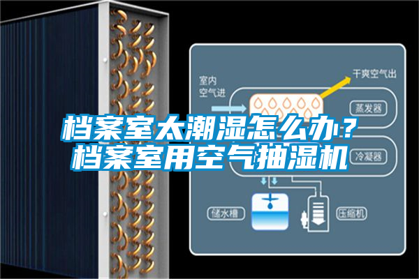 档案室太潮湿怎么办？档案室用空气抽湿机