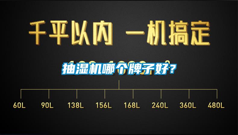 抽湿机哪个牌子好？
