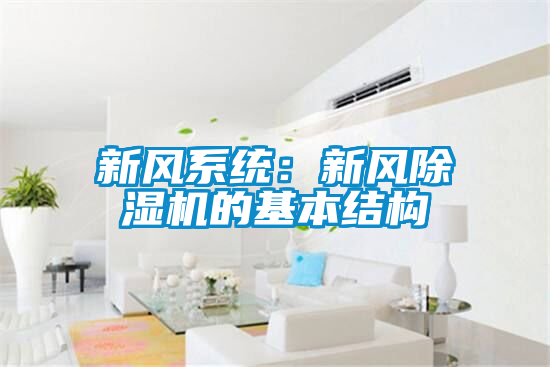 新风系统：新风茄子视频懂你更多在线观看的基本结构