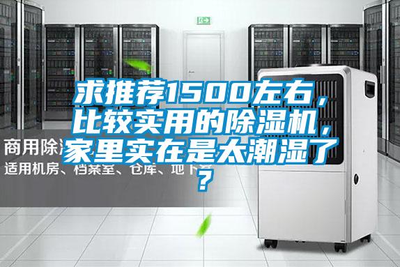 求推荐1500左右，比较实用的茄子视频懂你更多在线观看，家里实在是太潮湿了？