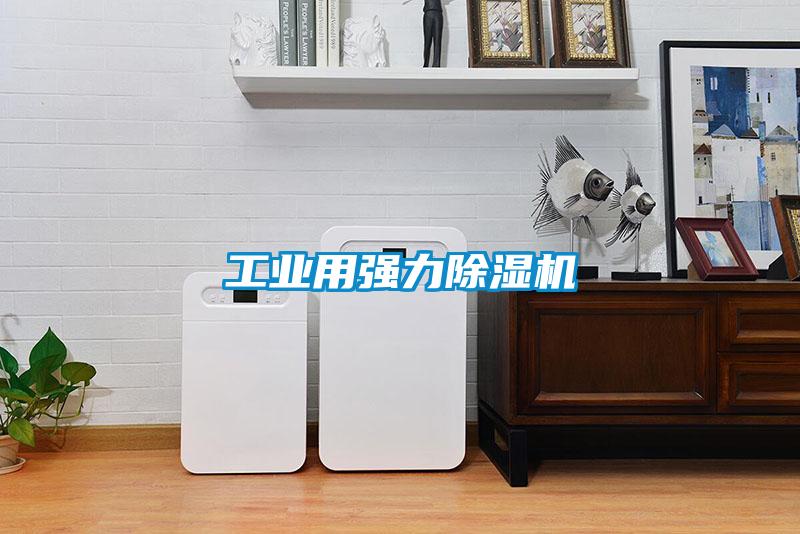 工业用强力茄子视频懂你更多在线观看