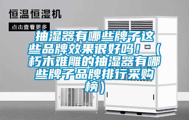 抽湿器有哪些牌子这些品牌效果很好吗！（朽木难雕的抽湿器有哪些牌子品牌排行采购榜）