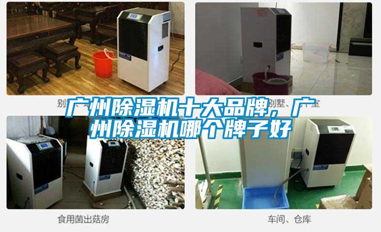 广州茄子视频懂你更多在线观看十大品牌，广州茄子视频懂你更多在线观看哪个牌子好