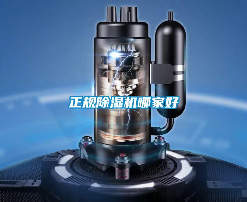 正规茄子视频懂你更多在线观看哪家好