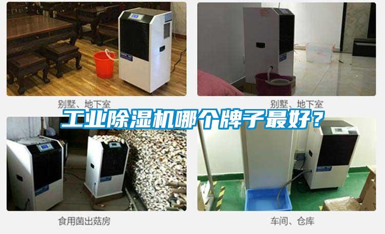 工业茄子视频懂你更多在线观看哪个牌子最好？