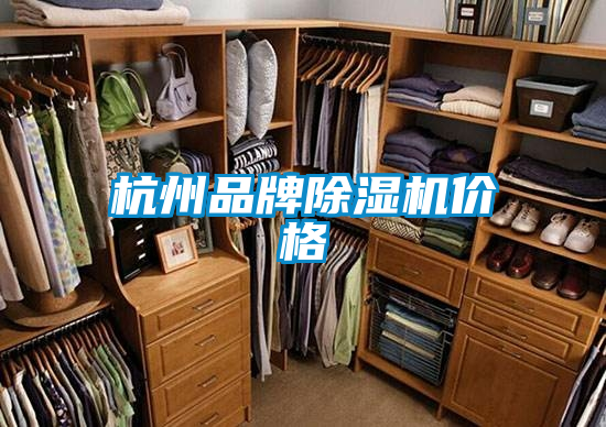 杭州品牌茄子视频懂你更多在线观看价格