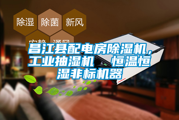 昌江县配电房茄子视频懂你更多在线观看，工业抽湿机  恒温恒湿非标机器