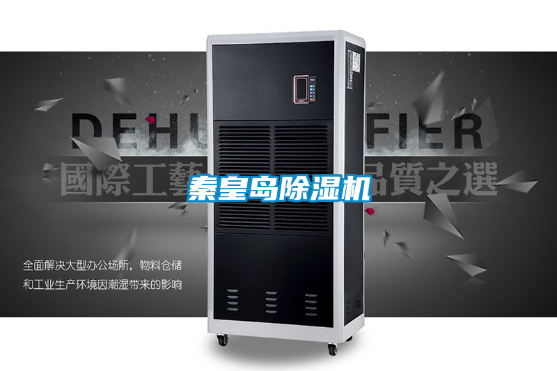 秦皇岛茄子视频懂你更多在线观看