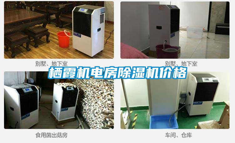 栖霞机电房茄子视频懂你更多在线观看价格