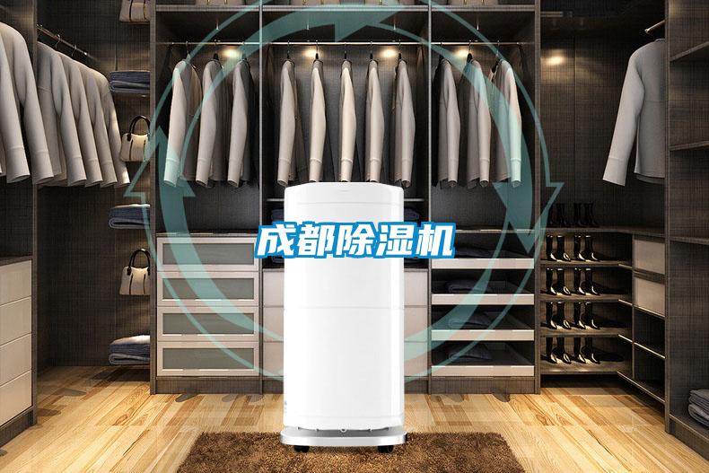 成都茄子视频懂你更多在线观看