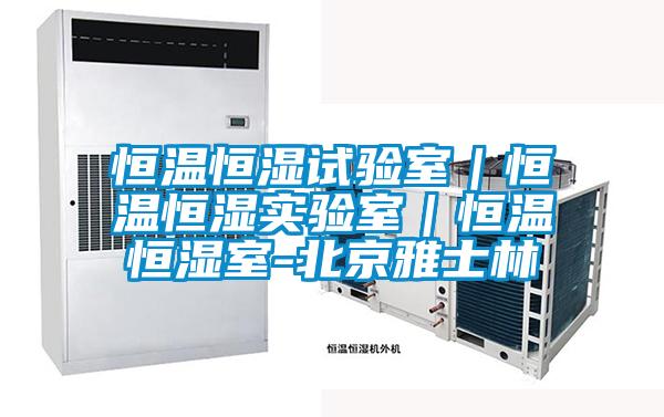 恒温恒湿试验室|恒温恒湿实验室|恒温恒湿室-北京雅士林