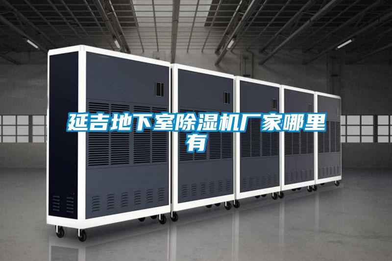 延吉地下室茄子视频懂你更多在线观看厂家哪里有