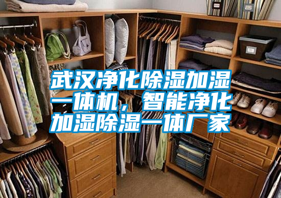 武汉净化除湿加湿一体机，智能净化加湿除湿一体厂家