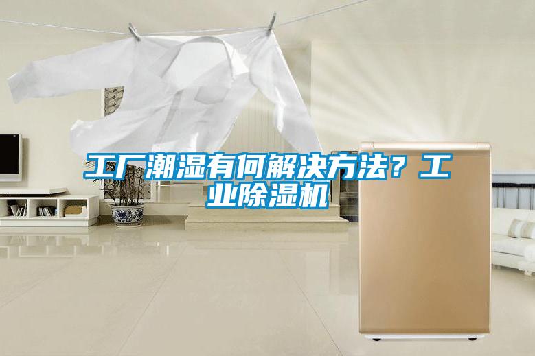 工厂潮湿有何解决方法？工业茄子视频懂你更多在线观看