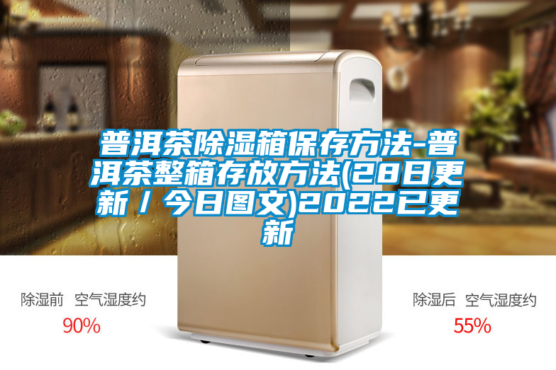 普洱茶除湿箱保存方法-普洱茶整箱存放方法(28日更新/今日图文)2022已更新