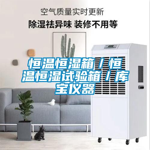 恒温恒湿箱/恒温恒湿试验箱/库宝仪器