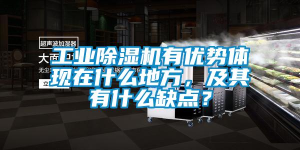 工业茄子视频懂你更多在线观看有优势体现在什么地方，及其有什么缺点？