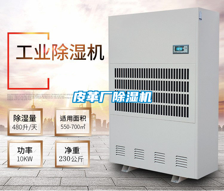 皮革厂茄子视频懂你更多在线观看