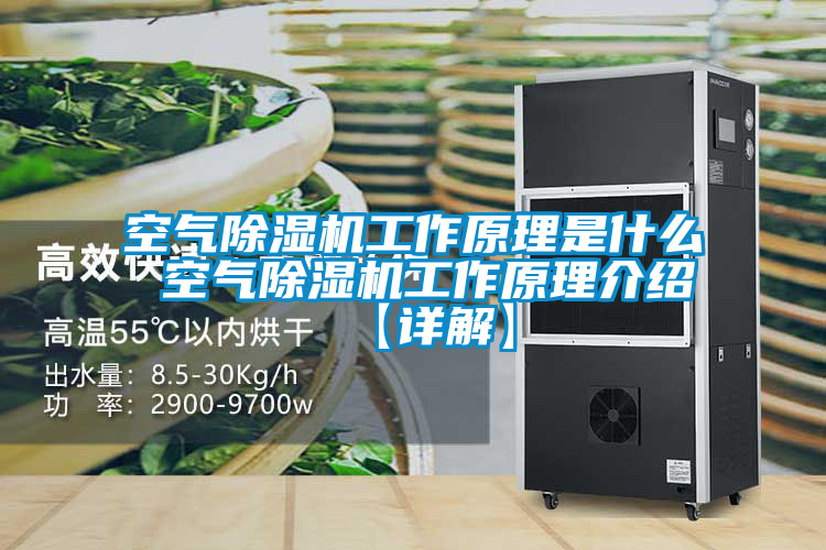 空气茄子视频懂你更多在线观看工作原理是什么 空气茄子视频懂你更多在线观看工作原理介绍【详解】