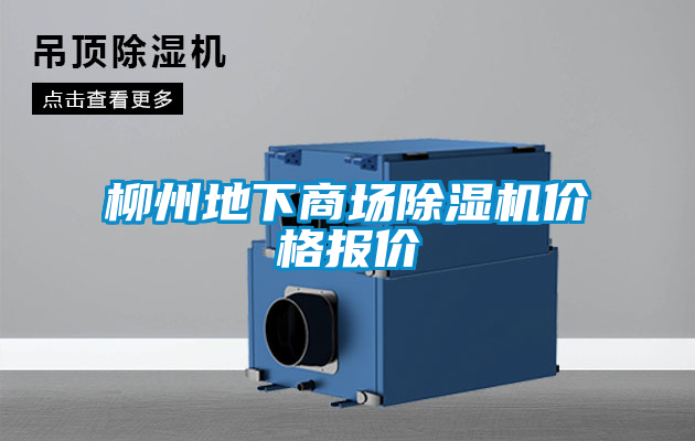 柳州地下商场茄子视频懂你更多在线观看价格报价