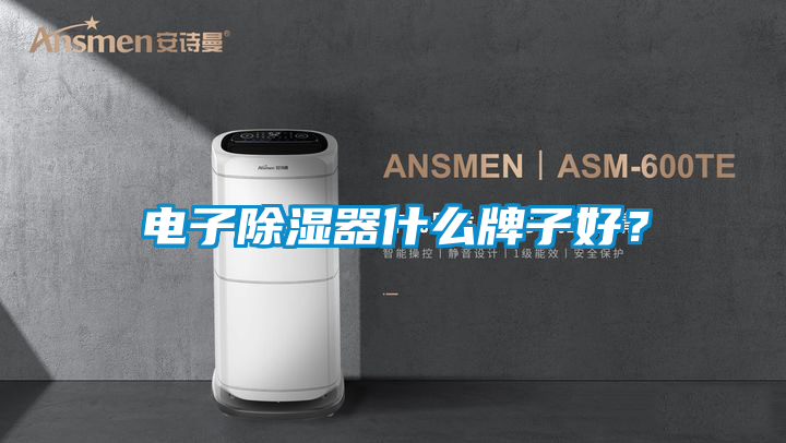 电子除湿器什么牌子好？