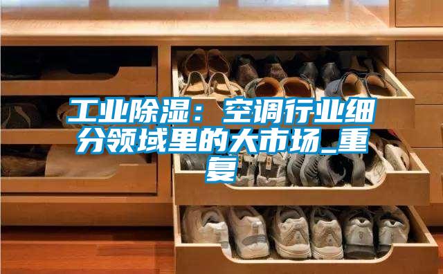 工业除湿：空调行业细分领域里的大市场_重复