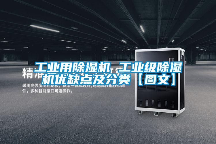 工业用茄子视频懂你更多在线观看 工业级茄子视频懂你更多在线观看优缺点及分类【图文】