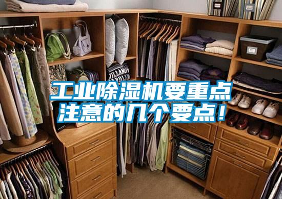 工业茄子视频懂你更多在线观看要重点注意的几个要点！