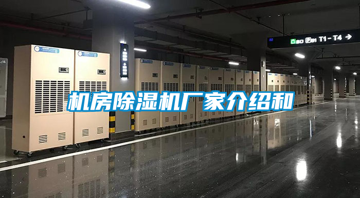 机房茄子视频懂你更多在线观看厂家介绍和