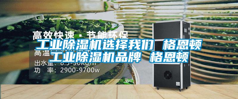 工业茄子视频懂你更多在线观看选择茄子污视频下载 格恩顿工业茄子视频懂你更多在线观看品牌 格恩顿