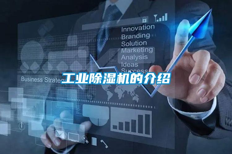 工业茄子视频懂你更多在线观看的介绍