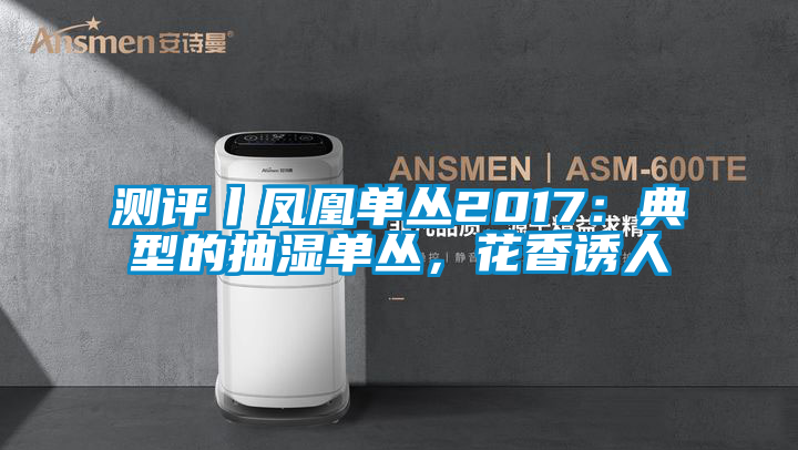 测评丨凤凰单丛2017：典型的抽湿单丛，花香诱人