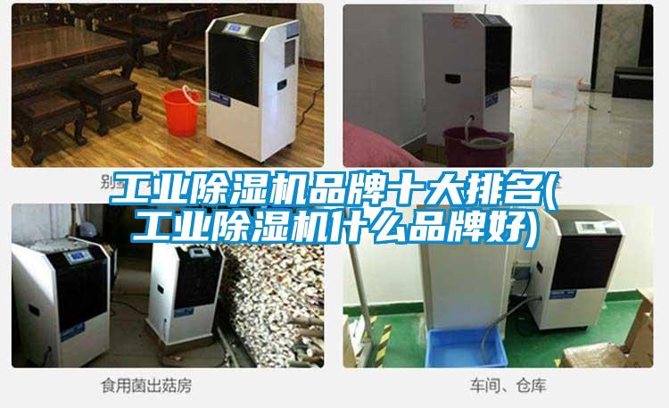 工业茄子视频懂你更多在线观看品牌十大排名(工业茄子视频懂你更多在线观看什么品牌好)