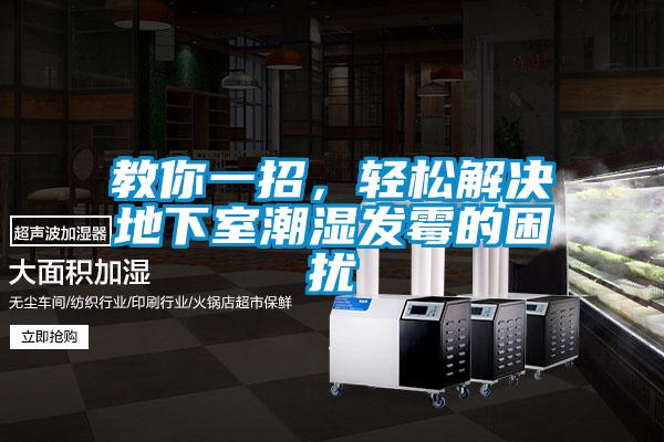 教你一招，轻松解决地下室潮湿发霉的困扰