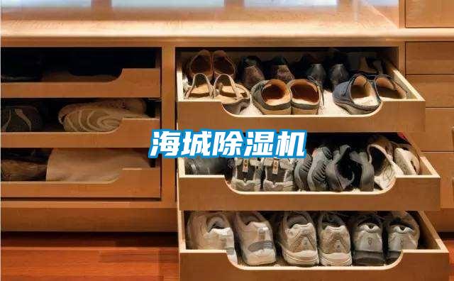 海城茄子视频懂你更多在线观看