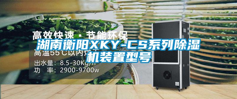 湖南衡阳XKY-CS系列茄子视频懂你更多在线观看装置型号