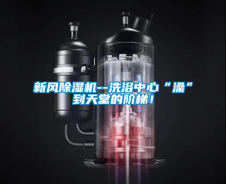 新风茄子视频懂你更多在线观看--洗浴中心“澡”到天堂的阶梯！