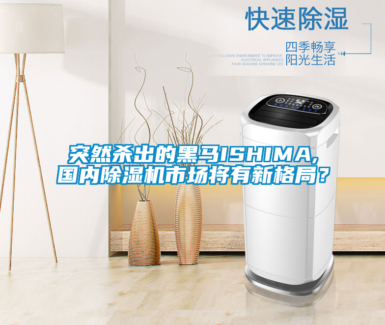 突然杀出的黑马ISHIMA,国内茄子视频懂你更多在线观看市场将有新格局？