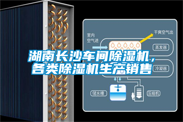 湖南长沙车间茄子视频懂你更多在线观看，各类茄子视频懂你更多在线观看生产销售